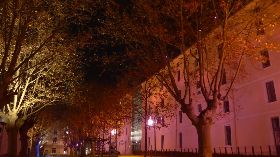 L'allée de platanes devant le musée d'art contemporain Saint-Martin, à Montélimar, éclairée le soir