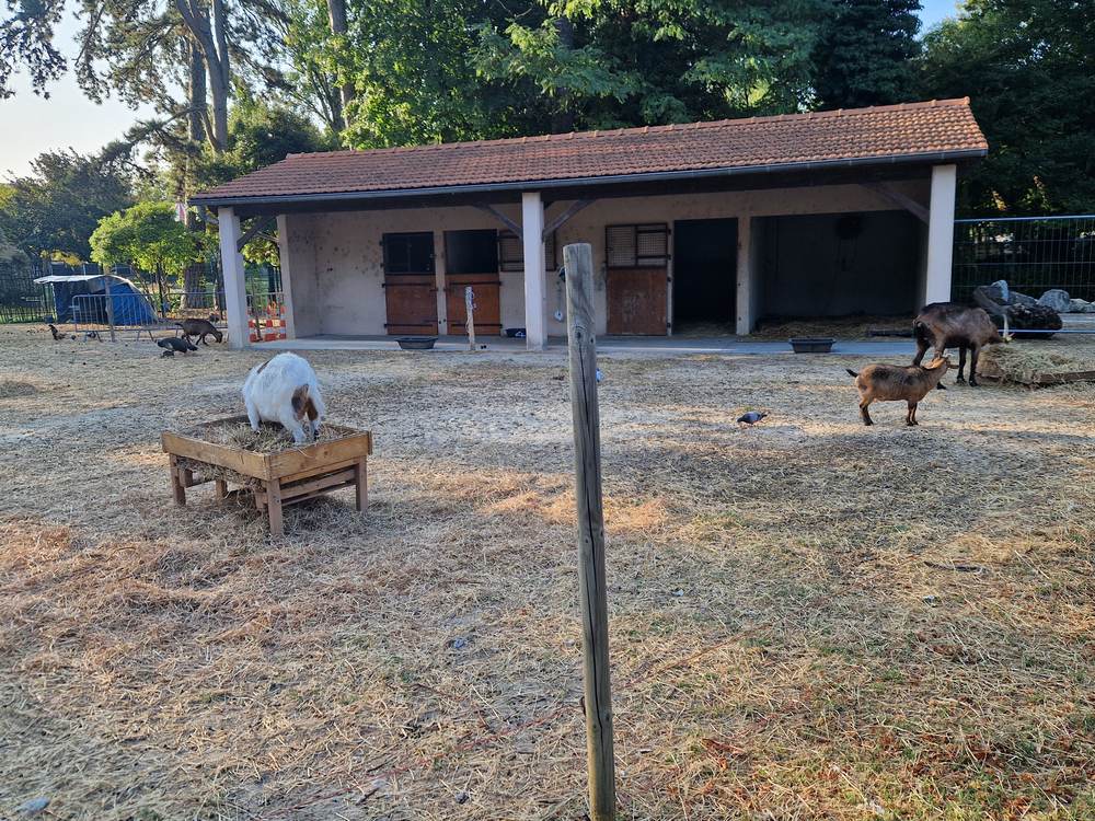 L'enclos aux chèvres du jardin public de Montélimar, avec son abri au toit de tuiles