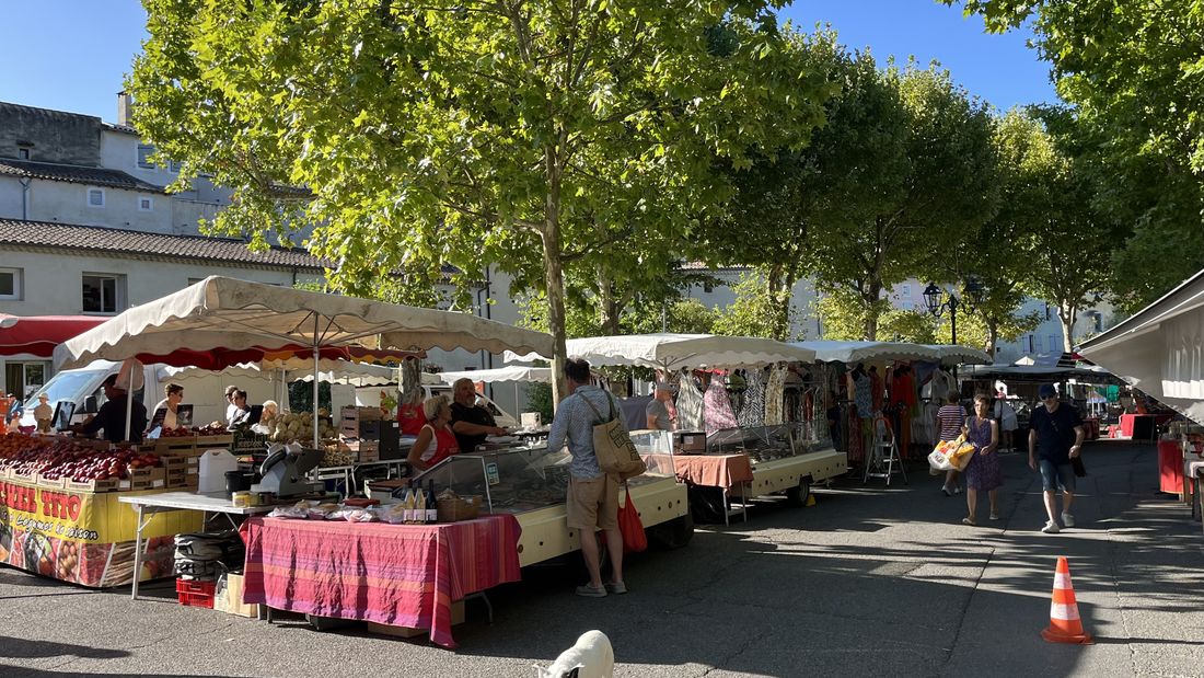 Le marché de Dieulefit sous les platanes, étals et passants