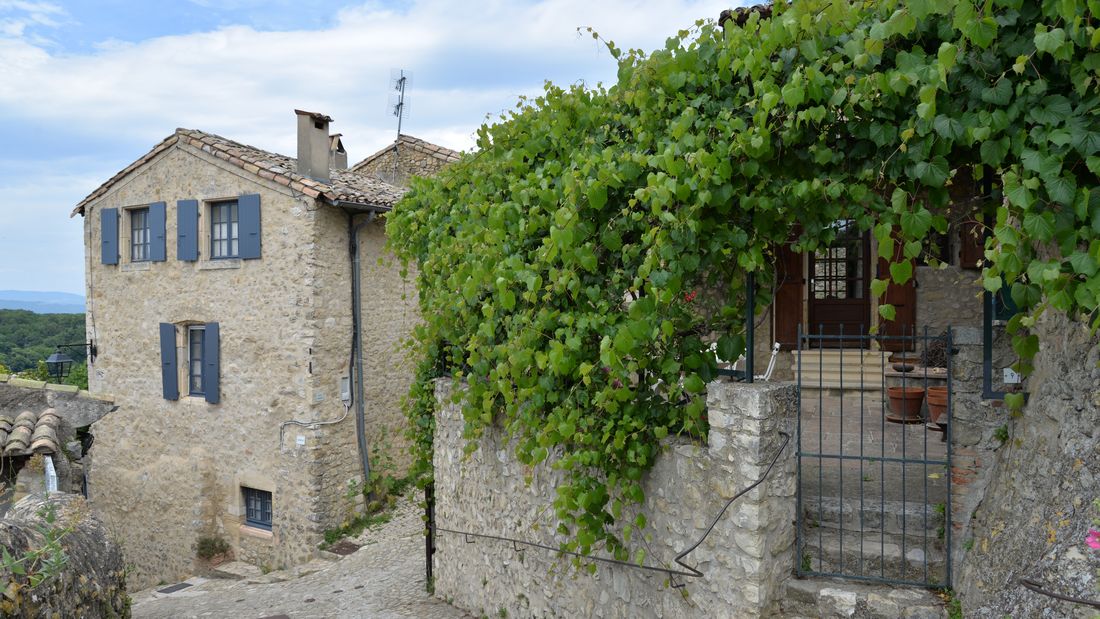 Ruelle pavée de Mirmande, maisons en pierre à volets bleus et treille de vigne